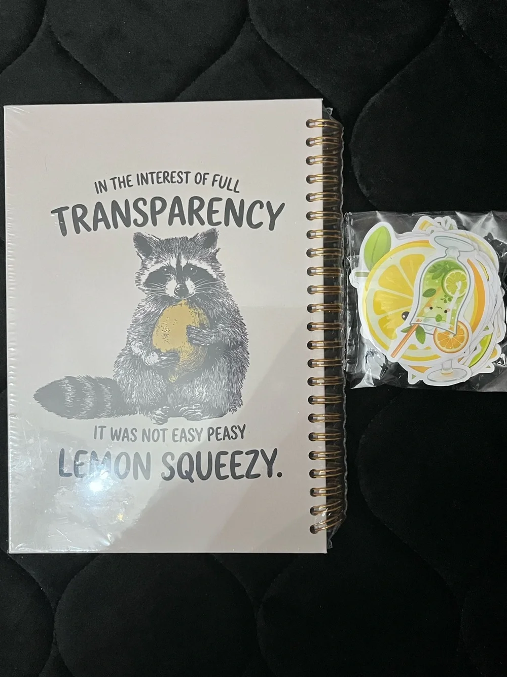 Funny & Cute Lemon Stationery Set